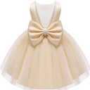 Jup'Elle Baby Girl Dresses Pageant Party Wedding Flower Girl Dress, 18M 