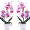 XONOR Artificial Orchid Flowers, 2 Pieces Potted Fake Orchids with Plastic Vase for Table Centerpiece Home Decor Office Wedding Party Decoration (Purple)
