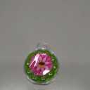Vigar Flower Power Bathtub Drain Stopper, Tub Stopper with Chain and Daisy-shaped Floaty, 4-1/10 Inches, Perfect Bathroom Accessories, Pink, Green