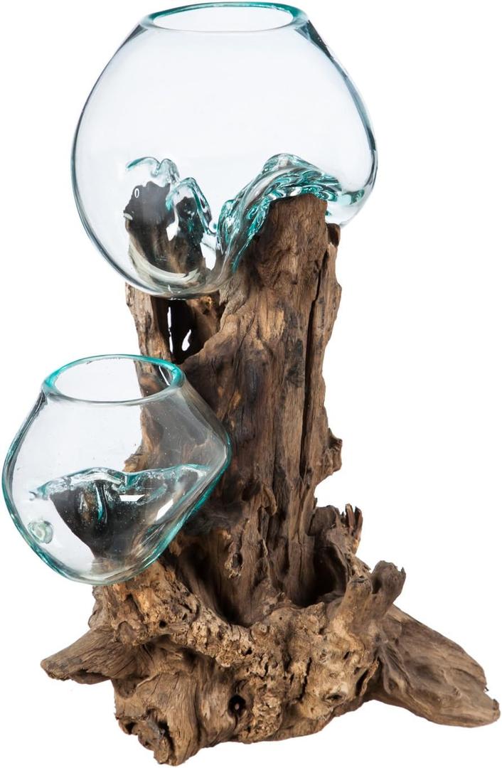 Cape Craftsmen 12" H Hand-Blown Blue Tinted Bubble Glass On Natural Teak Driftwood Terrarium | Home Dcor Indoor Planter with Stand | Pot for Succulent and Plants (Large)