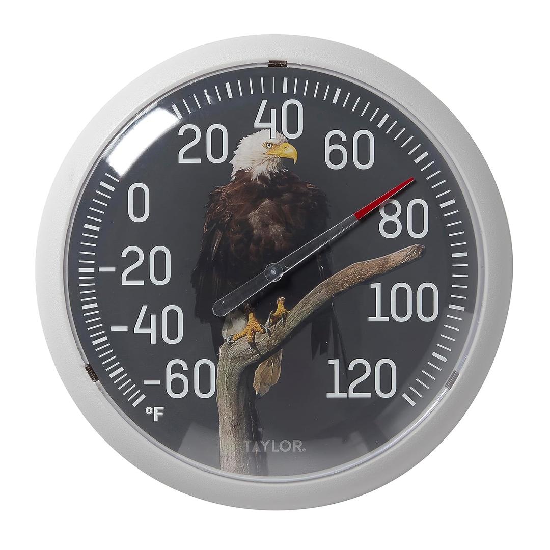 Taylor Nature Series Eagle Indoor Outdoor Dial Thermometer, Easy to Read Wall Decor for Patio, Pool, Yard, Garden or Garage, 13.25 Inch, Gray Bezel