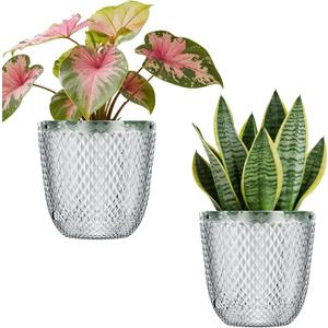 QCQHDU 2 Pack Self Watering Pots, 7.2 Inch Flower Pots with Drainage Holes and Water Filling Port, Plastic Garden Planter for Indoor Outdoor Plants (Clear)