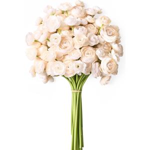 Waipfaru Ranunculus Artificial Flowers, 18Pcs 14In Fake Peonies Artificial Flowers, Faux Flower for Vase Silk Flower Real Touch Faux Peony Bulk for DIY Wedding Bouquet Home Bridal Shower Decor (Champagne)