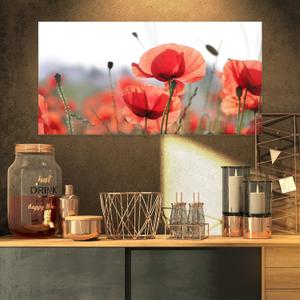 Soft Poppy Flowers Petals Canvas Wall Art  Modern Floral Wrapped Canvas Print for Bedroom, Living Room & Office Home Dcor, 32x16