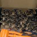 Pumpkin Carving Kit, 21 Pcs Stainless Steel Pumpkin Carving Stencils with 4 Halloween Carving Tools, Easy Safe and Durable for Kids Adults