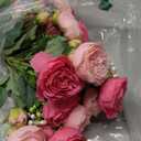 peonies artificial flowers 12 Bundles pink flowers bouquet, Lifelike Silk Fake Peonies with Stems for Home Table Centerpieces, Wedding, Party & DIY Bridal Floral Arrangements (Rose red + pink)