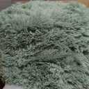 OLANLY 6x9 Machine Washable Large Area Rugs for Living Room, Bedroom, Soft Fluffy Shaggy Bedside Rug, Indoor Floor Carpet for Kids Girls and Boys, Dorms, Nursery, Home Decor Aesthetic, Mint Green