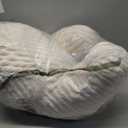 Blissful Diary Reading Pillow for Sitting in Bed, Flannel Back Pillow Bed Sitting Up for Adult & Children, Backrest Cushion for Sit Up in Couch or Floor, Dorm Essentials, Cream White