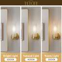 TETOTE Brushed Gold Wall Sconce Modern Bathroom Wall Light Fixtures Farmhouse Wall Lights with Frosted Glass Shade for Mirror Bedroom Living Room