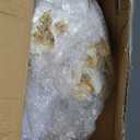 350 Piece Gold Dinnerware Set, 100 Plastic Plates, 50 Cups, 50 Pre Rolled Napkins with Plastic Silverware, Disposable Gold Dinnerware Set for 50 Guest