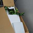 6FT Artificial Dracaena Tree, Fake Tree Indoor with White Tall Planter,Tall Artificial Plants Indoor,Artificial Silk Tree for Home Office Decor (White)