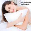 Acteb Ultra Thin Flat Soft Bed Pillows Standard Size Set of 2 Pack for Sleeping 20"x26", Hypoallergenic Skin Friendly Machine Washable