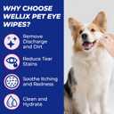 Wellix Dog & Cat Eye Wipes for Discharge and Crust - Pet Eye Wipes Tear Stain Remover for Dogs and Cats - Dog and Cat Grooming Wipes for Eyes and Wrinkle - 110 Counts