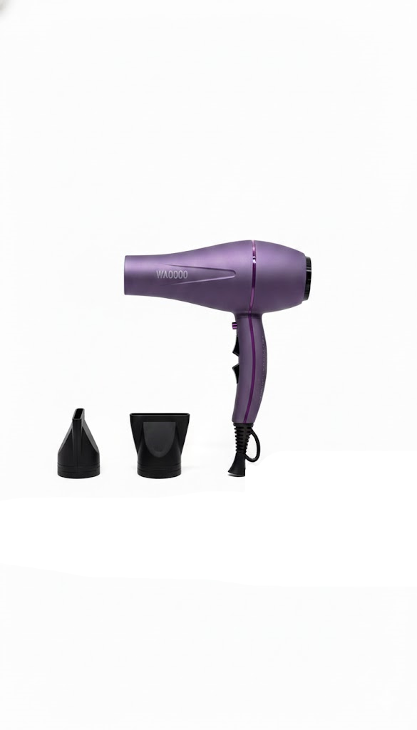 Professional Ionic Hair Dryer