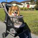 ROODO Escort 3 Wheel Dog Cat Pet Stroller for Small/Medium Dogs Cats Best Lightweight Foldable Portable Compact Jogger All Terrain Travel Pet Gear System Puppy Doggie Bunny Kitty Stroller(Grey)