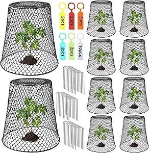 Dukelai 10 Pcs Chicken Wire Cloche Plant Covers Garden Netting Metal Heavy Duty Plant Protectors from Animals for Keeping Bunnies Chicken Squirrels Birds Other Out 9.13×9.13 in