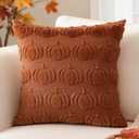 2 x Artscope Fall Pillow Covers 18 x 18 Set of 2 Decorative Autumn Harvest Holiday Pumpkin Throw Pillow Cases Soft Plush Faux Fur Couch Cushion Case for Farmhouse Halloween Sofa Bed Room Home Decor-Rust