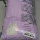 Rael Disposable Underwear for Women, Organic Cotton Cover  Postpartum Essentials, Leak Locker, Unscented, Maximum Coverage (Size SM, 20 Count)