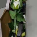 TONULAX Solar Garden Lights - Upgraded Outdoor Light, 7 Color Changing Rose Lights for Yard,Garden Decoration, Enlarged Solar Panel, More Realistic Rose Flower (4 Packs)