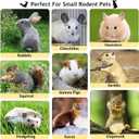 600g Organic Apple Sticks Small Animals Molar Wood Treats Toys for Chinchillas Guinea Pig Rabbits Hamster Gerbil Parrot Bunny Chew Stick Toys, 21.2 OZ (1.33 Pound (Pack of 1))