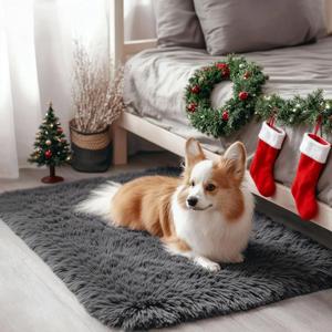 OLANLY 2x3 Machine Washable Small Bedside Rug, Soft Fluffy Shaggy Entryway Throw Rugs for Bedroom, Living Room, Indoor Floor Carpet for Kids Girls and Boys, Nursery Rooms, Home Decor Aesthetic, Grey