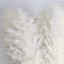 46" inch 10 Stems Cream Pampas Grass Decor Tall, Dry Flowers for Floor Vases Decor, Natural Dried Flowers for Wedding, Natural Home Decor, Wall Grass, Glam Decor