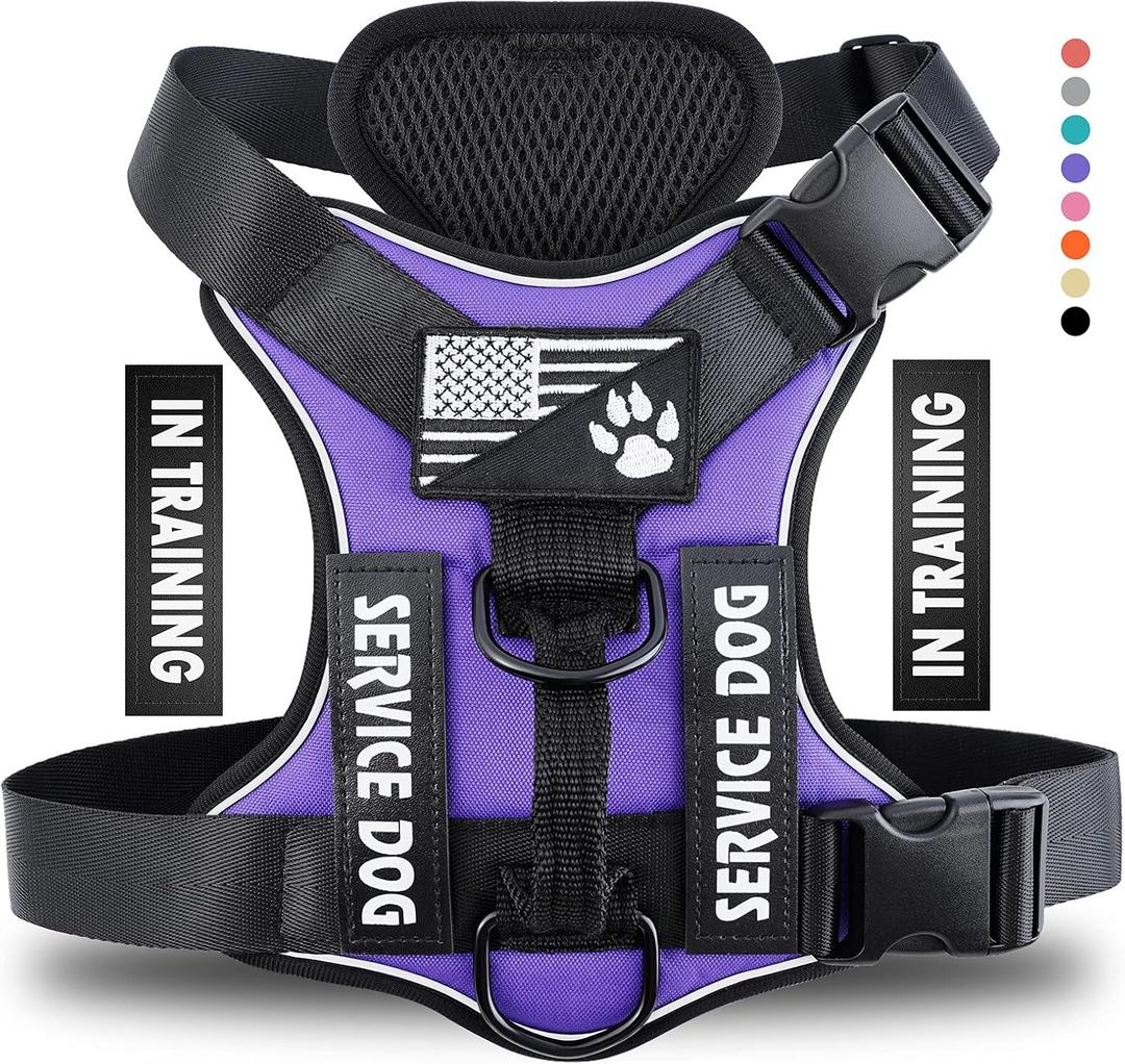 Demigreat Service Dog Harness, Reflective Dog Vest Harness with 5 PCS Patches, Adjustable Soft Oxford Pet Harness, Inner Layer Mesh, Easy to Control for Dogs (Small (Pack of 1), Purple)