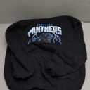 Vintage Panthers Carolina American Football Hoodie, M