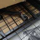 Gridwall Panel Display Stand, 2'x5.5' Heavy Duty Floor Standing Rack with Detachable Gridwall, Movable Silent Wheel, Easy to Transport, Ideal for Retail & Craft Fairs (1)