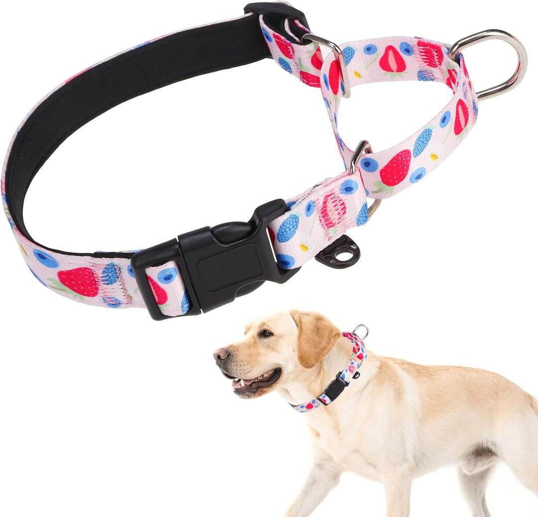 KOOLTAIL Martingale Collar for Dogs for Small Medium Large Dogs, Soft Padded Nylon No Pull Dog Collar with Buckle, Adjustable No Slip Heavy Duty Durable Puppy Training Collar for Boys Girls, Pink S