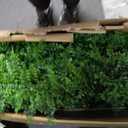 Greenery Faux Grass Wall Backdrop: 20"x20" (24P) UV-Anti Artificial Green Boxwood Panel for Patio Balcony Privacy & Ivy Fence Covering Privacy, Garden, Backyard Wall Backdrop Decor