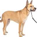PetSafe Gentle Leader Headcollar No-Pull Dog Collar - Helps Improve Walks - Durable Nylon Construction - Padded Nose Loop - Adjustable Fit - Comfort Walking Halter - Medium, Charcoal
