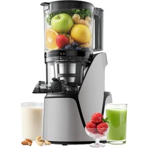 EanOruus Juicer Machines, 3-in-1 Cold Press Juicer with 6.5" Extra Large Chute, 100oz Large Capacity, AC Motor, Makes Juice, Nut Milk & Sorbet, Silver Gray