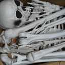 Wocst 5.4Ft/165cm Halloween Skeleton Full Body Life Size Human Bones with Movable Joints for Indoor Outdoor Halloween Props Decorations