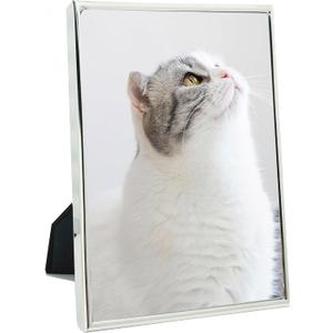 DECANIT 5x7 Picture Frame Metal, Thin Profile Photo Frame 5 by 7 Inch, Display for Wall or Tabletop,Silver
