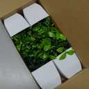 Der Rose 4 Pack Fake Plants Mini Artificial Greenery Potted Plants for Home Decor Indoor Office Table Room Farmhouse