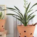 Vensovo 8 Inch Terracotta Orchid Pots with Holes and Saucers, 2 Pack Large Clay Planters for Repotting, Terra Cotta Pots for Indoor & Outdoor Plants, Promotes Air Circulation