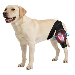 Noorace Dog Knee Brace for Torn ACL/CCL & Hind Leg Support - Adjustable Brace for Arthritis Relief, Joint Stability & Injury Recovery
