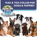 Flea Collar for Dogs, Tick Collar for Larger Dogs, Dog Flea Collars,8 Months Protection,Plant-Based Ingredients,Comfortable Dog Flea Collars  Perfect for Sleep, Play, Walks & Water Fun-2P