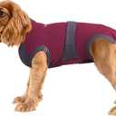 MAXX Dog Recovery Suit  Breathable, Cozy Post-Surgery Suit for Wounds  E-Collar, Cone Alternative (Ruby Red Grey, M)