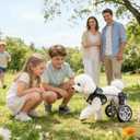 Dog Wheelchair for Small Medium Large Dogs, Adjustable 4-Wheel Mobility Aid, Lightweight Rehabilitation Brace (4 Wheels, L)