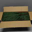 24 Pcs Artificial Norfolk Pine Branches, Faux Norfolk Pine Stems DIY Crafts Faux Christmas Norfolk Pine Branches for Xmas Indoor Outdoor Home Decor (24)