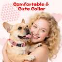 2 x Kazazoo Dog Collar Cute and Soft Nylon Puppy Collar Girl, Adjustable Dog Collars for Medium Large Dogs, Sweet Heart-L