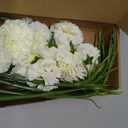 15PCS White Carnations Artificial Flowers 20.47" Long Stems Silk Carnation Fake Flowers Bulk for Wedding Table Centerpieces Bridal Shower Home Party Garden Decor(White)