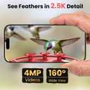 Smart Hummingbird Feeder Camera with AI Identification, 2.5K HD & Color Night Vision, Solar Powered Outdoor, IP66 Weatherproof – Garden Decor & Premium Gift for Mom