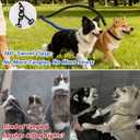 16.4ft Dual Retractable Dog Leash for Medium Dogs 3555 lbs, USB Rechargeable LED Light, 360 Tangle-Free, Detachable Front Lead & Emergency Ready, Reflective Elastic(Black)