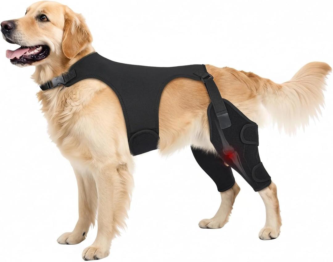 Dog Knee Brace for Torn ACL Hind Leg- Dog Leg Support Brace with Metal Stabilizers for Torn CCL, Limping, Luxating Patella, Ligament Injuries, Hip Dysplasia& Arthritis,L&Vest3