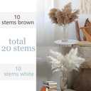 28" inch 20 Stems Large Pampas Grass Decor - Fluffy Brown & White Pampas Grass Decor Tall Pompas Grass for Floor Vase - Boho Home Decor Wedding Decor Natural Flower Bouquet
