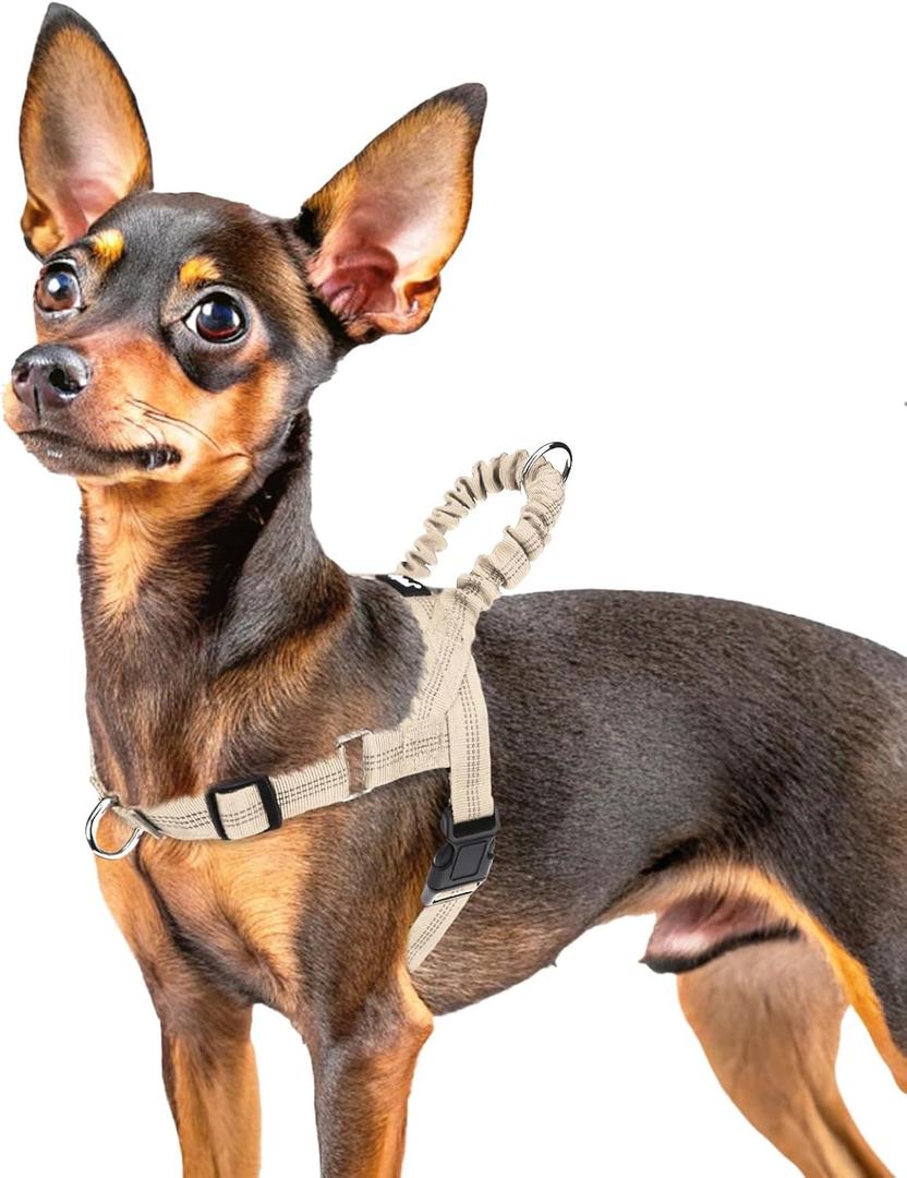 PUPTECK No Pull Dog Harness Small Sized Dog, Adjustable Reflective Pet Vest Harness with Bungee Handle, Escape Proof No Choke Harness for Small Dogs Walking Training, Beige XS (XS (NECK: 12"-15", CHEST: 14.5"-18.5"))