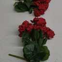 FOREST PRINCE 2 PCS 18" Artificial Geraniums for Outdoors, Red Geraniums Artificial Flowers Realistic Silk Flower for Home Garden Patio Wedding Table Centerpieces Indoor Decor, RubyRed